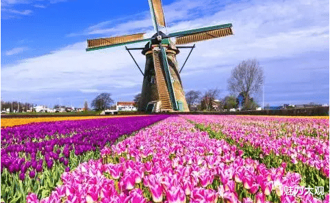 园林|世界十大最美园林，美到极致大概就是这个意思吧！