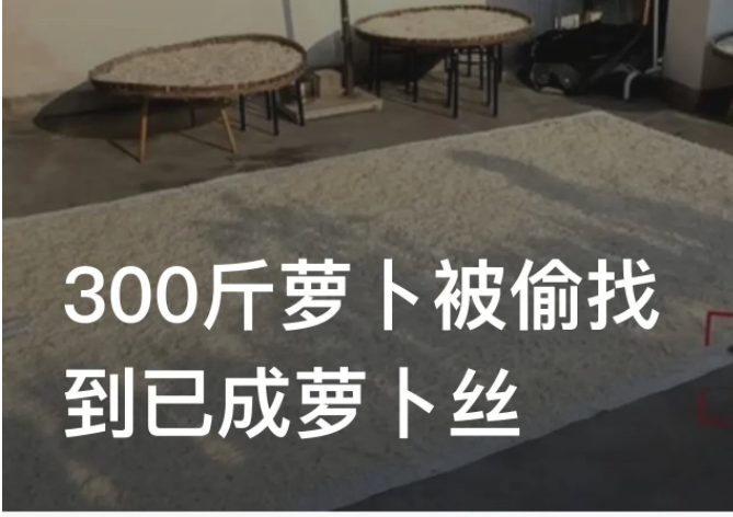 浙江杭州,发生了一件令人又气又笑的案件