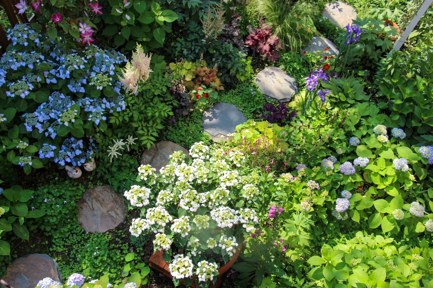 1年前,买了一栋带200m2花园的房子,不装修也要先把花园建起来