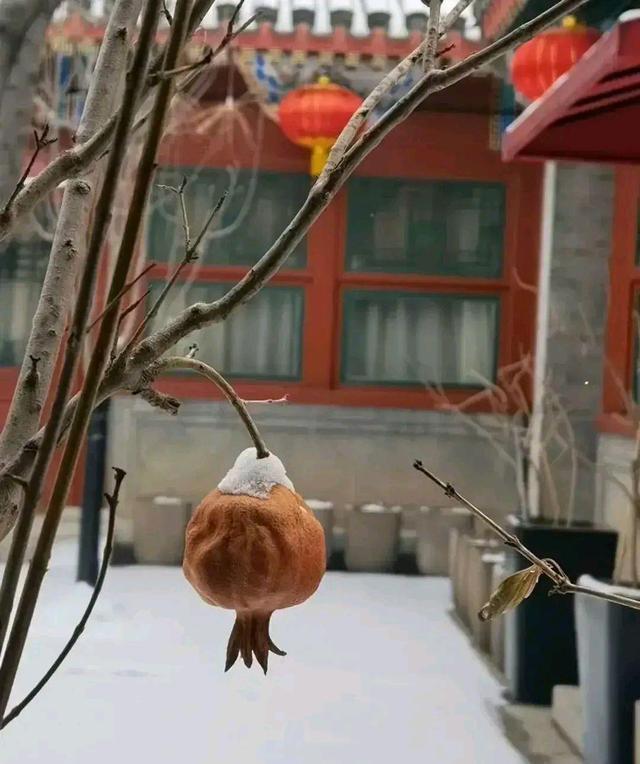 陈数|陈数不再低调，晒出自家豪宅，估计很多人都想不到！