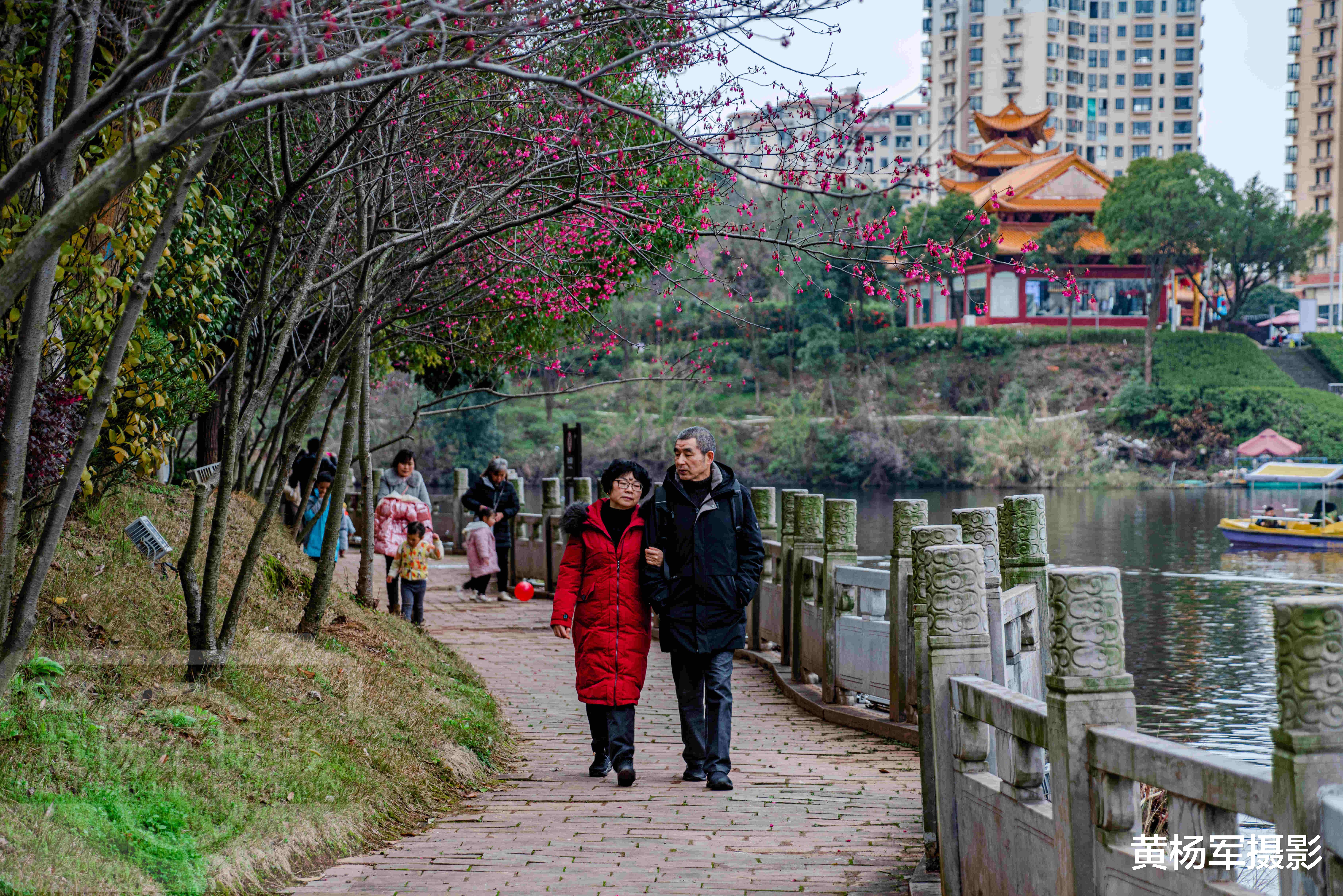 赣州|中国这座极低调的宝藏城市，一景区免费游，私藏了早春最美的樱花