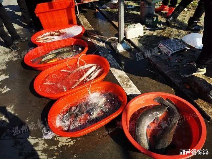 甲醛重金属超标,毁肠胃还致癌,315最该曝光的乱象,能有多恶心