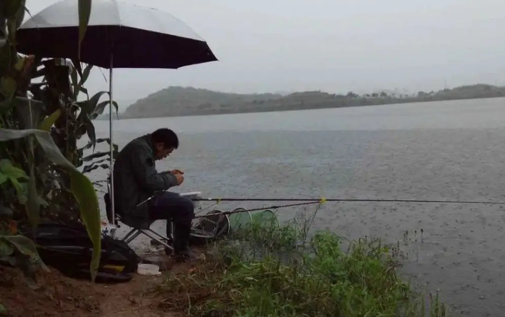 饵料|夏季钓鱼难度加倍，不妨从4个“大方向”着手调整，渔获更有保证