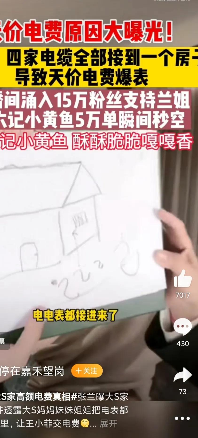 大S|大S一家忍无可忍全面反击,引发网友强烈反感