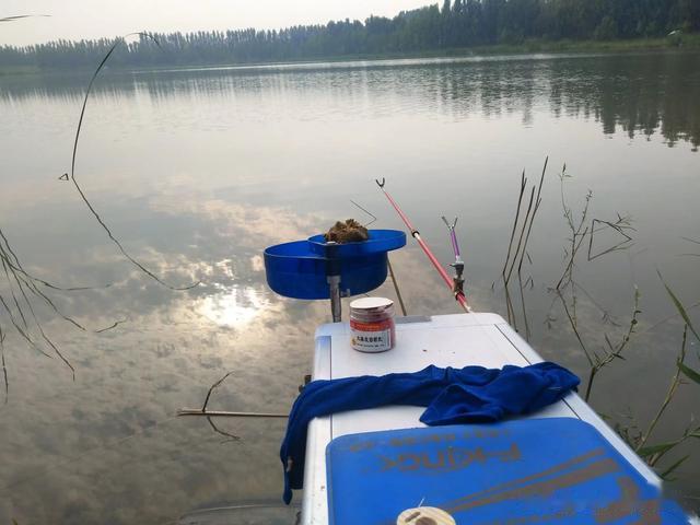 饵料|夜钓夫妇钓起了“鱼王”，巧上加巧，后来成了我的钓鱼挚友