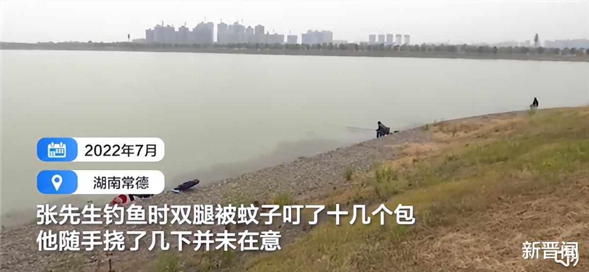 饵料|吓人!湖南一男子钓鱼时被蚊子叮咬,持续高烧患脓毒症住进ICU!