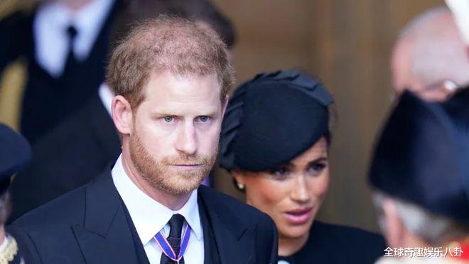 哈里王子|在回忆录中,哈里王子将扮演受害者角色?他称自己为“备胎”!