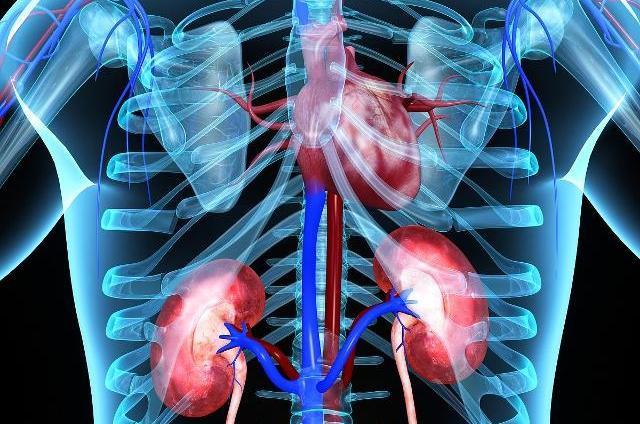 |肾不好,耳先知?若是做好这三件事,肾会逐渐变强壮!