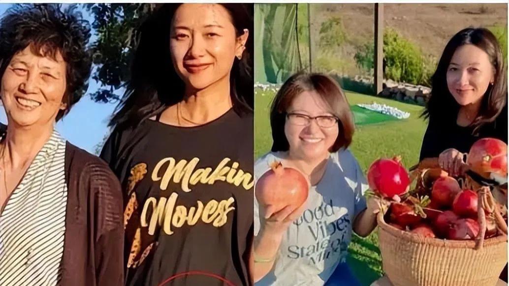 徐静蕾|京圈大花突然怀孕？孩子他爸是谁？