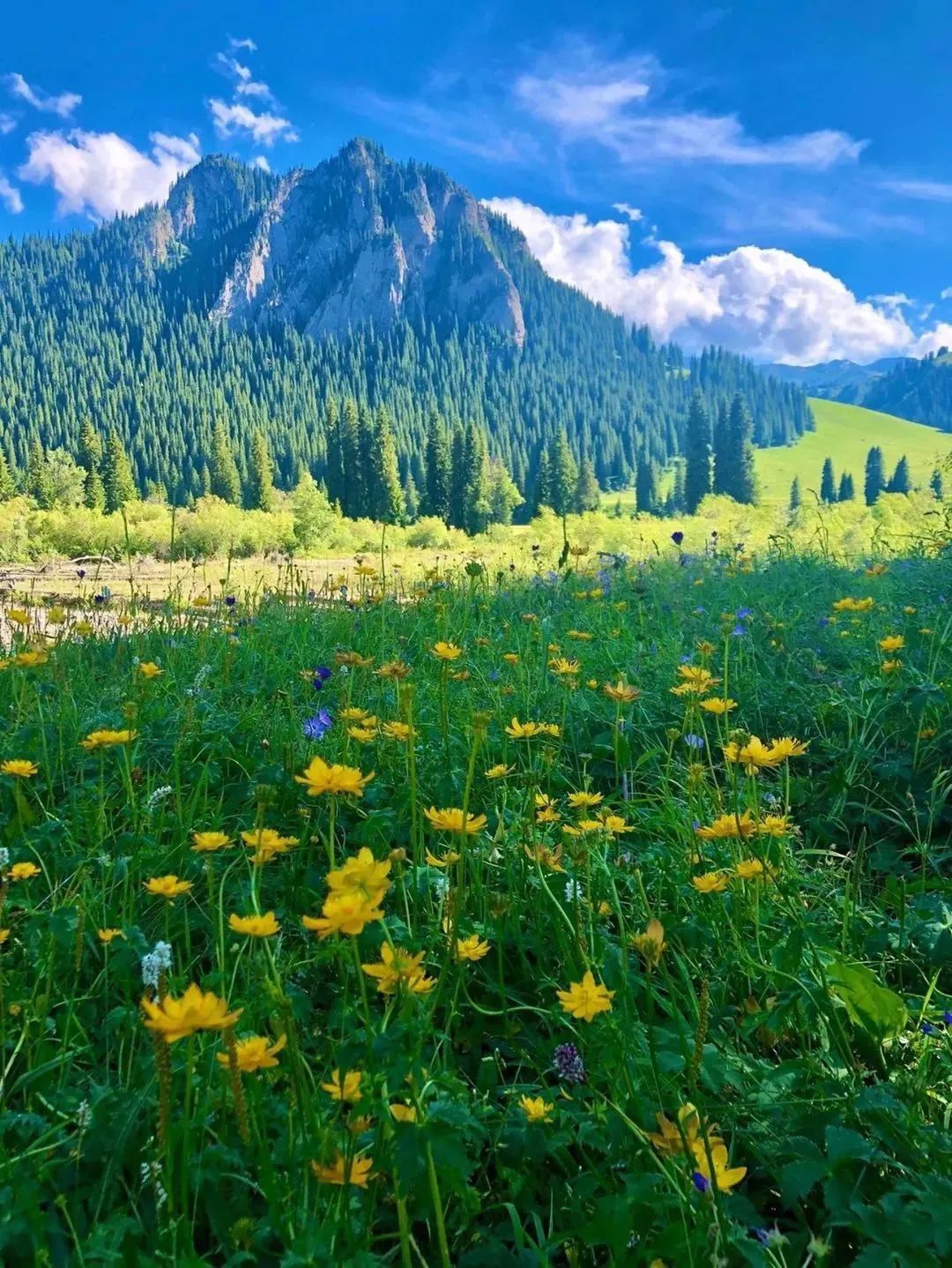 |新疆：给你点颜色看看