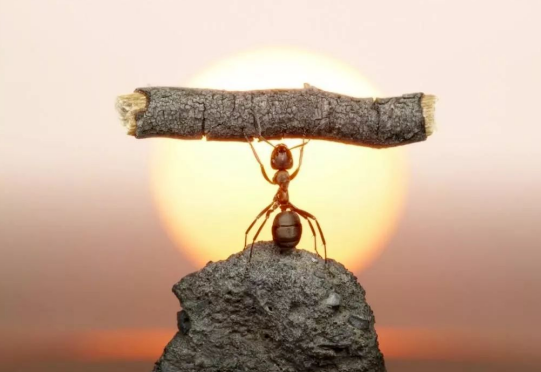 创业|优秀创业团队的十大特征