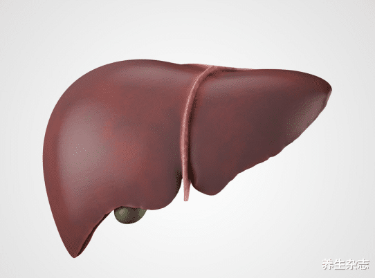 肝脏|肝病“救星”被发现，不是胡萝卜，医生：敞开吃，肝或逐渐“柔软如新”