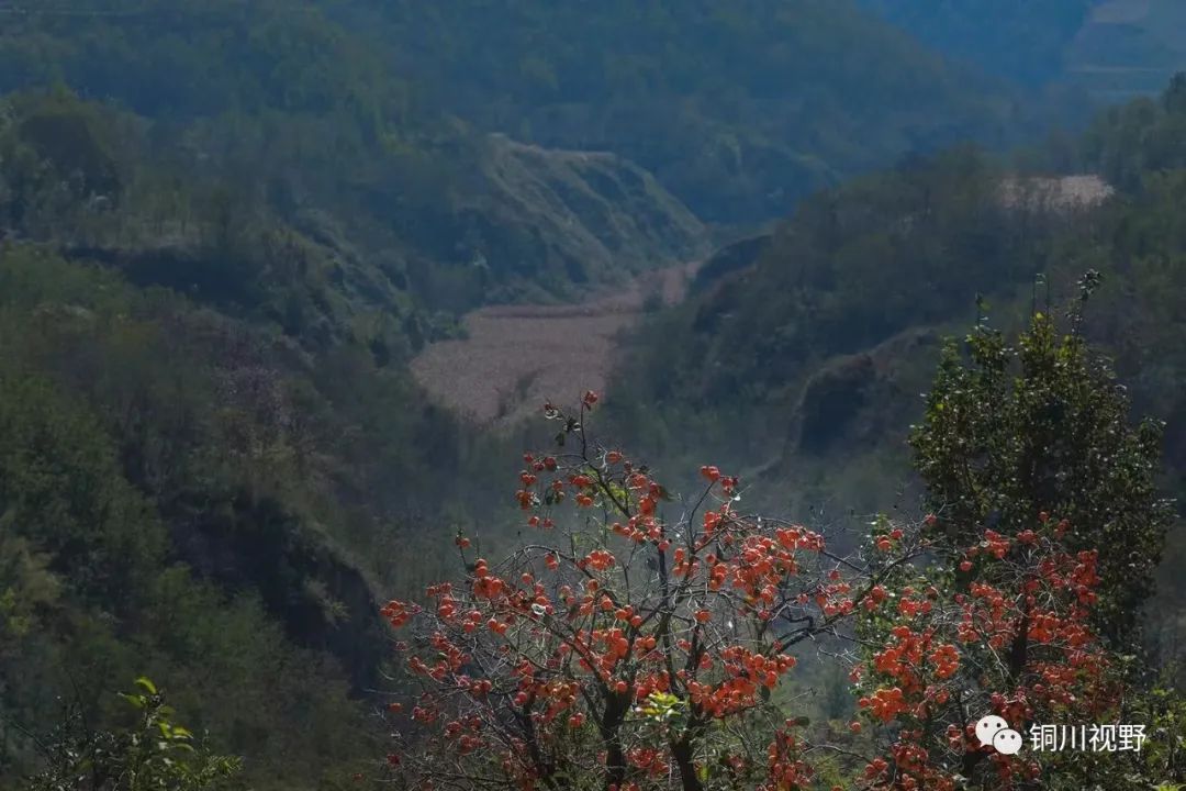 |铜川的美景【摄影铜川杨爱英】