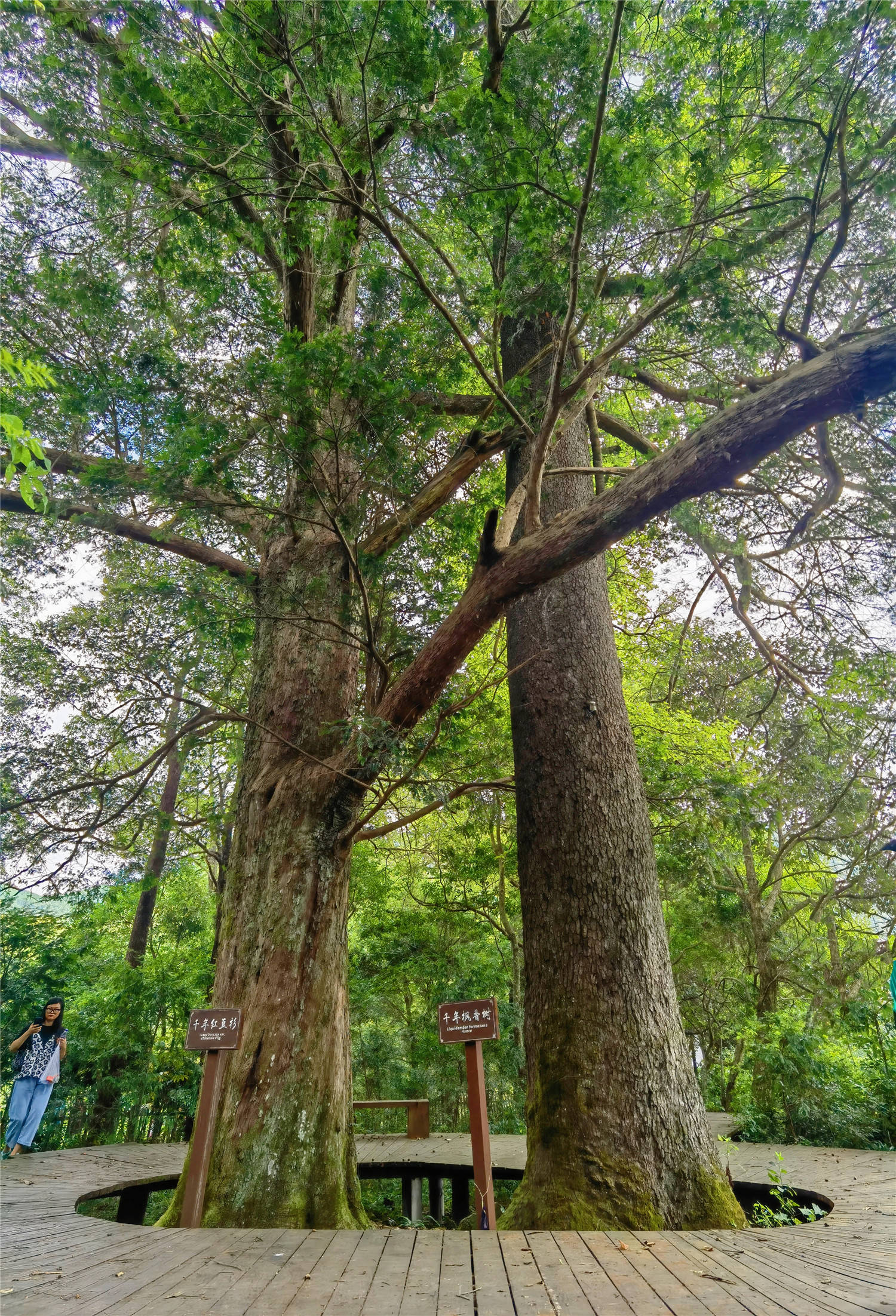 |福建邵武云灵山:峡谷漂流,云灵湖玩皮划艇,4天3晚还没有尽兴