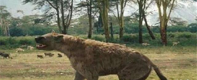 神农架发现凶残不明生物，驴头狼身，专家：是史前猛兽