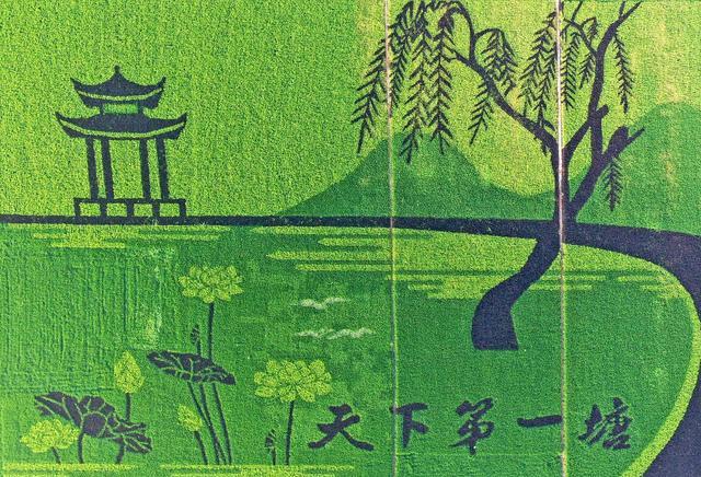 安徽|安徽两大古塘，“天下第一古塘”和“天下第一塘”，你去过吗？