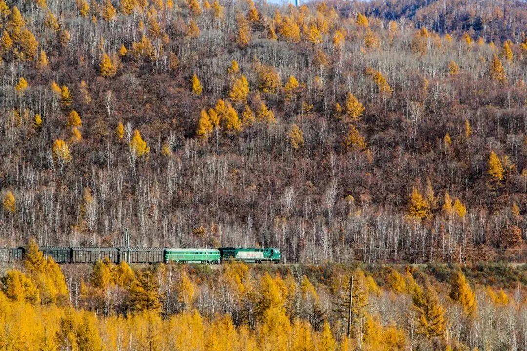 长白山|一个夏天都没出门?不如做一回“第一个看秋色的人”,可好?