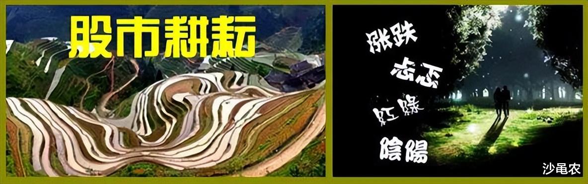 股市早8点丨别在大跌后卖掉股票