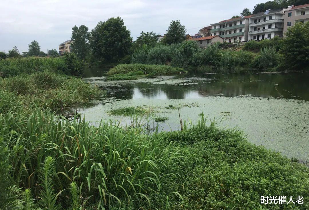 |温差大真的不好钓鱼吗?并非鱼不开口,而是你的钓位选错了