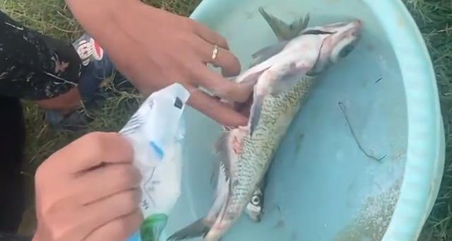 贵州|吃饭全靠钓!贵州男子钓鱼被困回不了家,直接开启了“荒野求生”