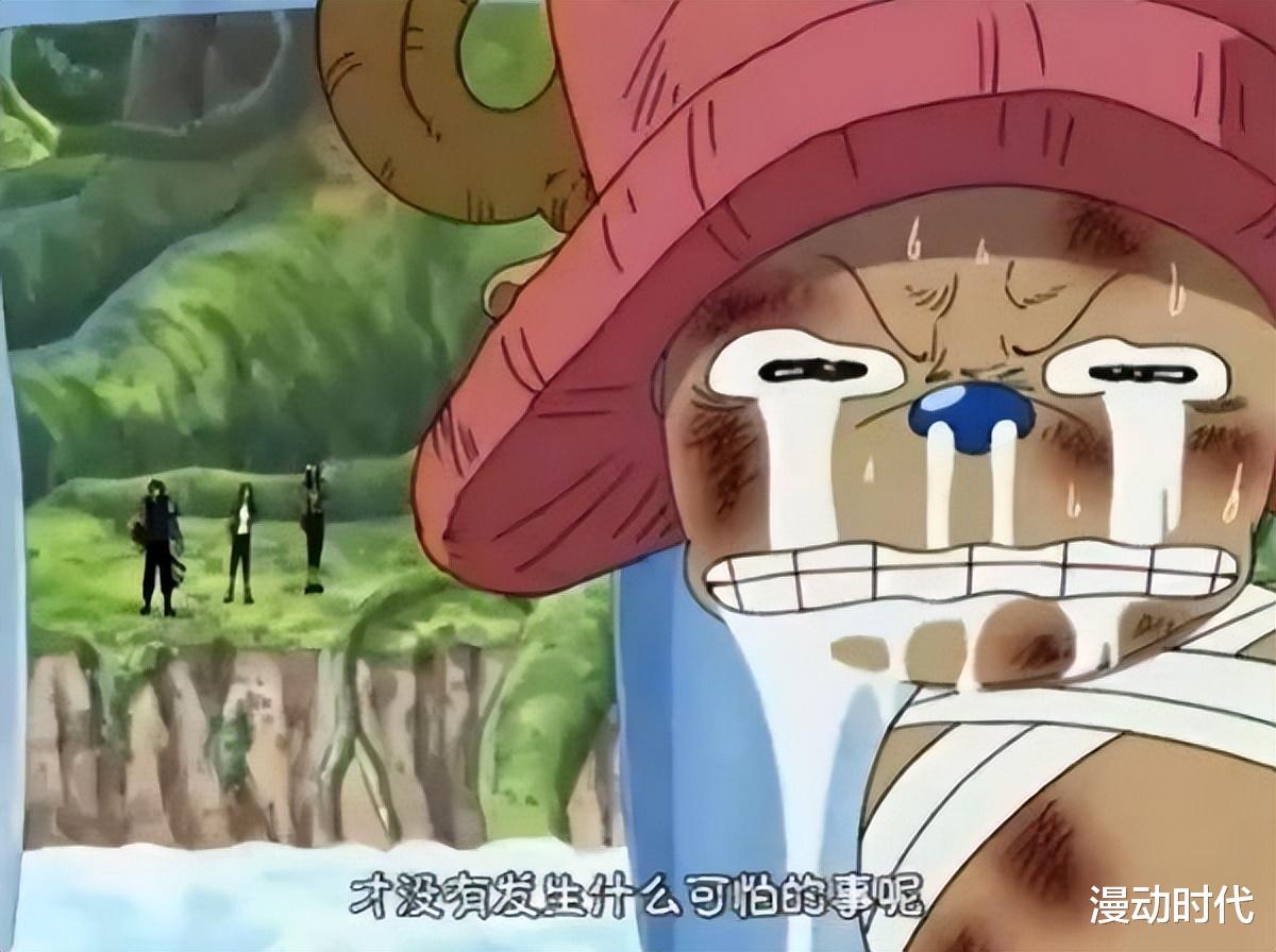 人人果实|都是人人果实,乔巴表示不服,凭什么他们都是神,我是原始人?