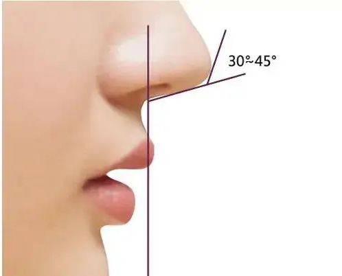 明星 好看的明星款美鼻都有哪些特点?