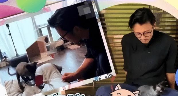 谢霆锋|谢霆锋爱惨了王菲!分手风波后近照憔悴落寞,身形消瘦手全是伤