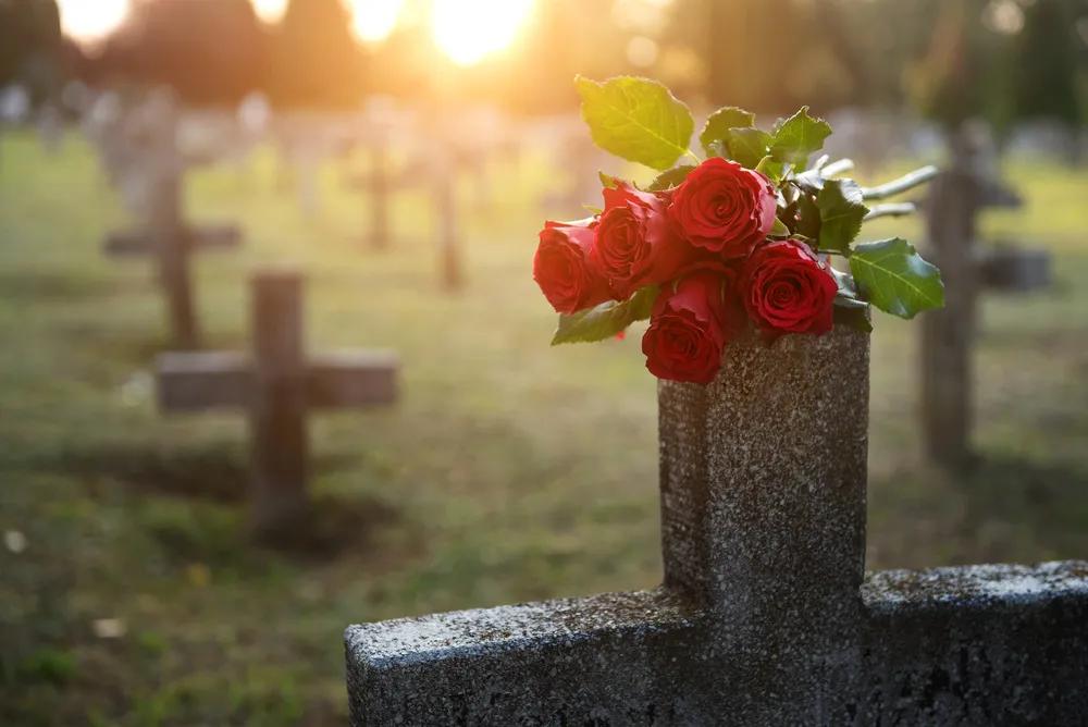 心脏停止跳动后,你的意识会持续?难道自己的死亡自己真的知道?