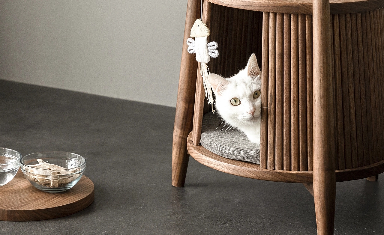 离人人羡慕的完美家庭,你,只差这一步!