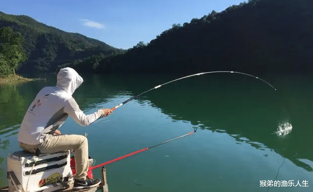 饵料|夏至过后鱼更难钓,鱼都出没在这些地方,找到一个爆护就变得简单
