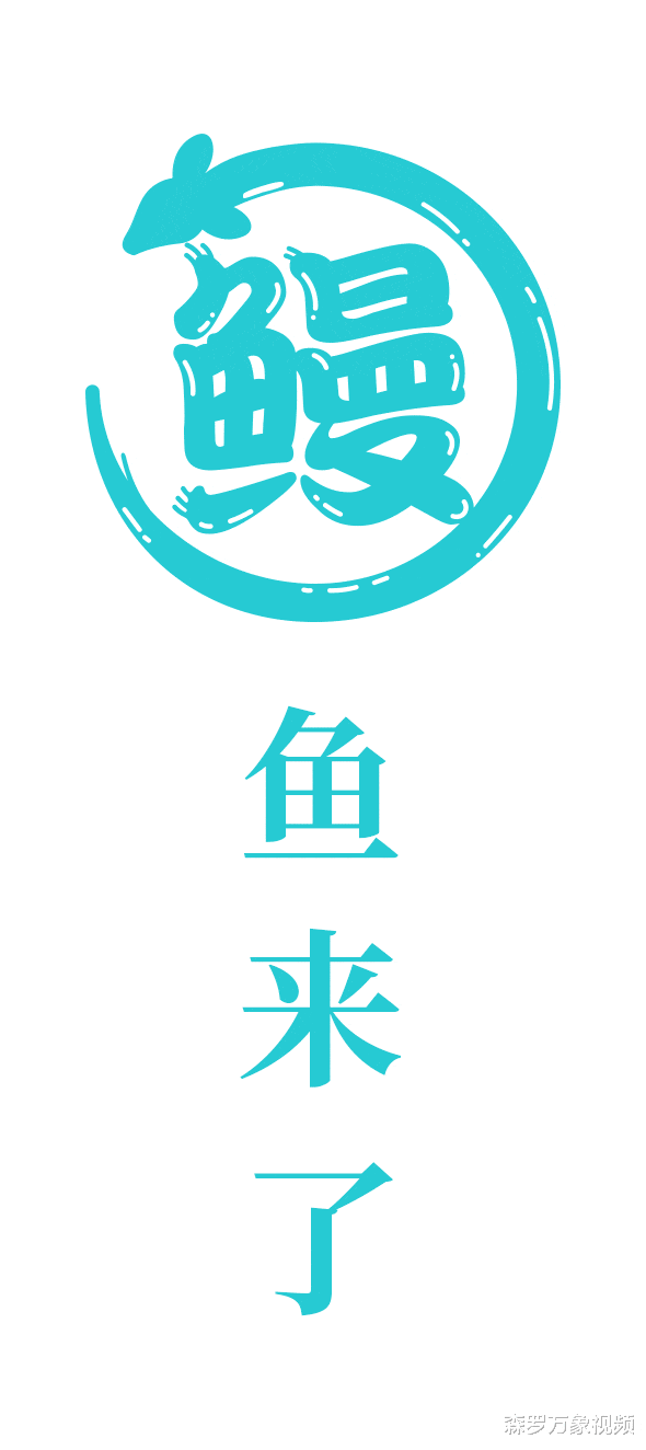 被人吃了几千年的鱼,直到突然濒危,也没人知道它们来自何处