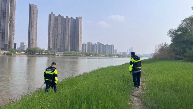 长江|南京洲泰社区禁捕卫士护航长江生态环境