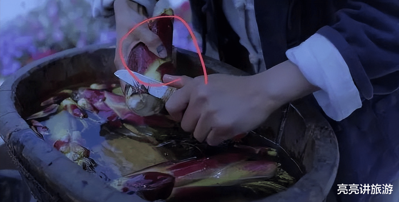 古镇|时隔一年,重看“李子柒”的庭院,才发现,那里仍是“世外桃源”