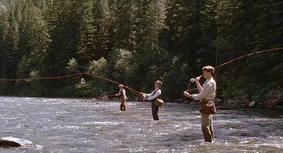 知乎|知乎一心求稳