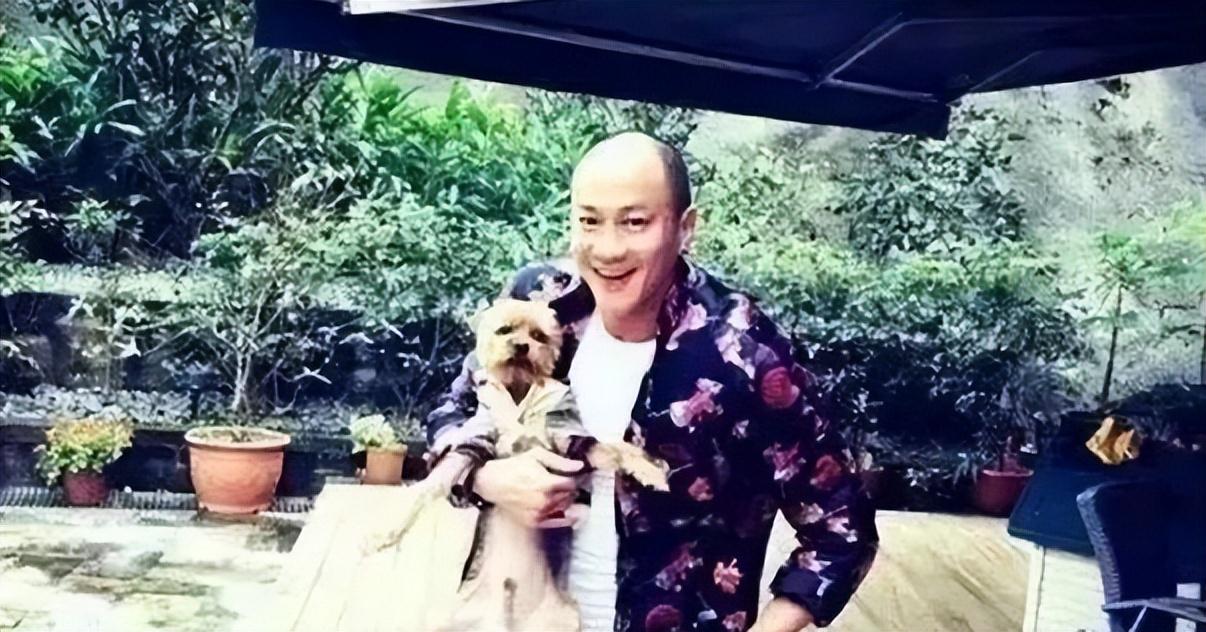 沙溢|看似帅气,实则脱发严重!沙溢、彭于晏、白敬亭......心酸又好笑