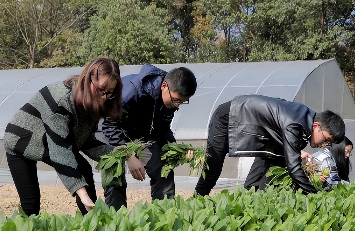 羊驼|农大的“挂科理由”多奇葩？老师也爱莫能助，学生：天道好轮回