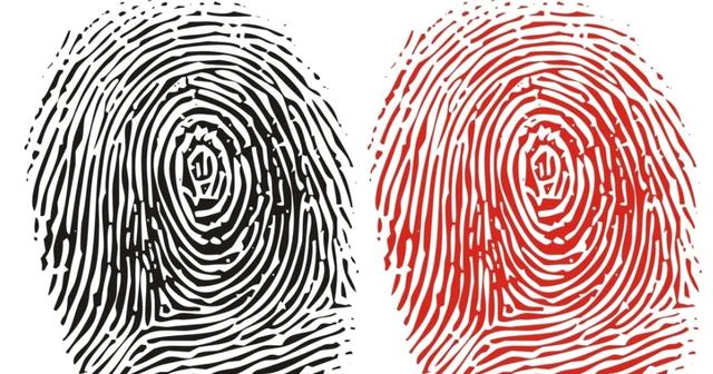 人类指纹的斗和簸箕有什么秘密?它与基因相关吗?能否决定命运?