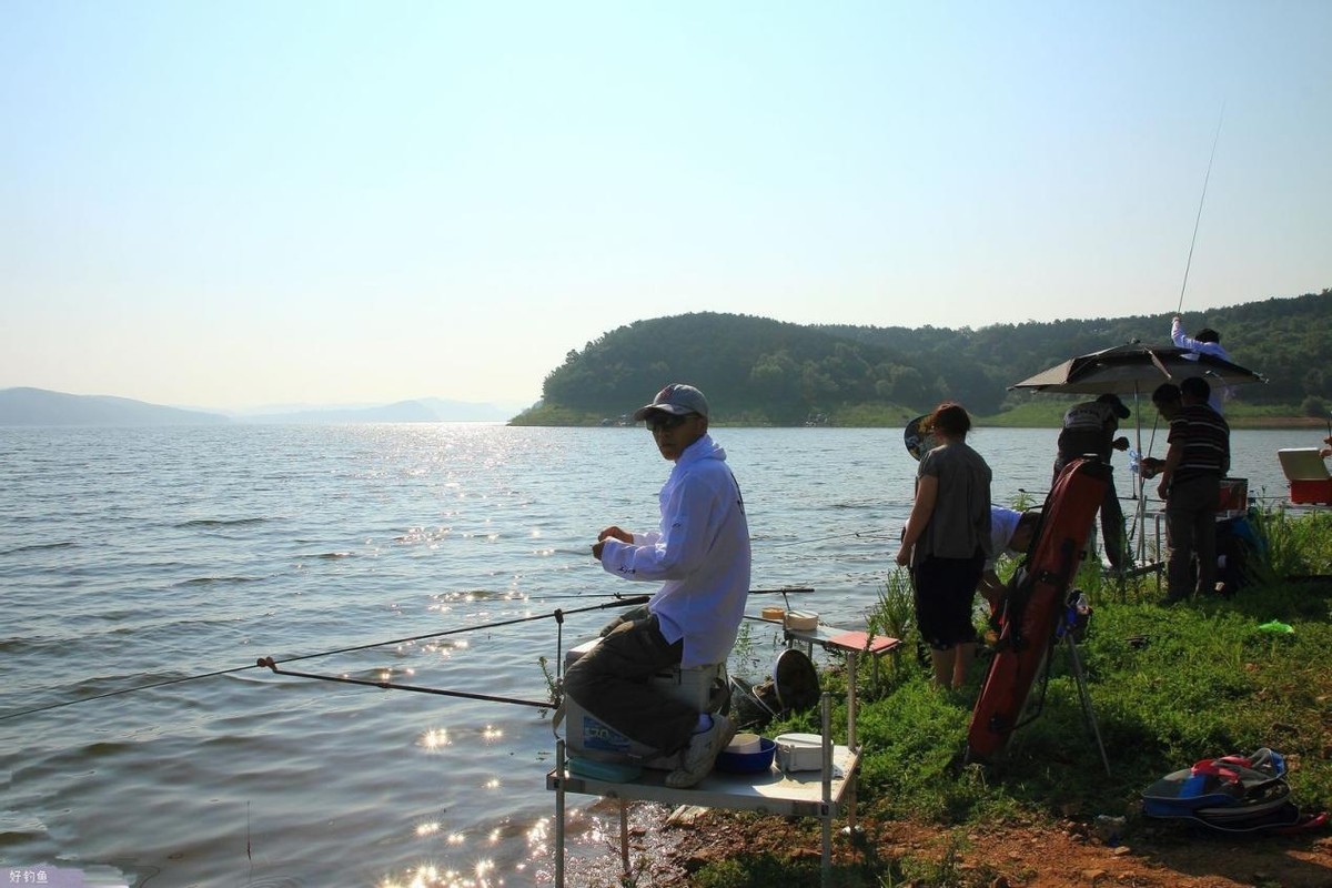 饵料|盛夏野钓全攻略：学会老钓手总结的野钓技巧，渔获翻倍更容易