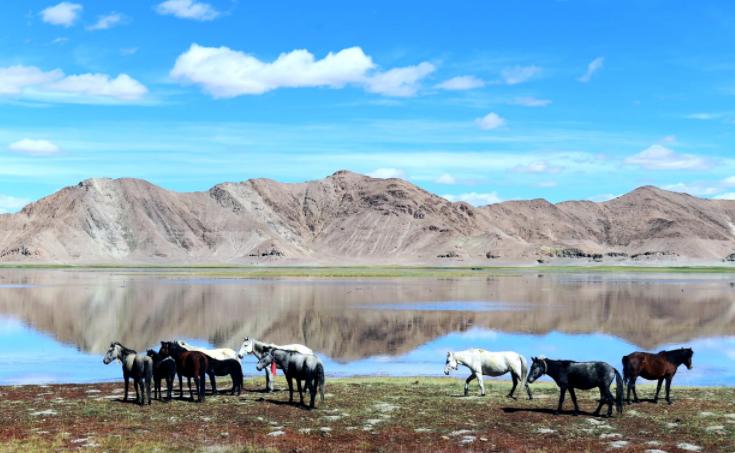 乡村旅游|中国在印度河上游建起了一座城，狮泉河镇，新藏公路上的重镇