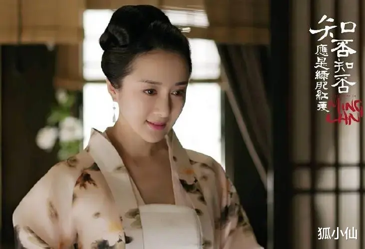 顾廷烨|十温《知否》才懂:“拎不清”的王老太太,用“爱”毁了三代人