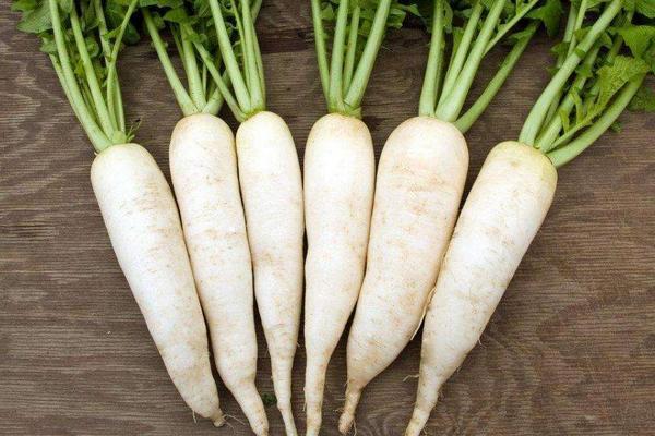 口臭|萝卜可以治疗银屑病吗,银屑病患者可以吃萝卜吗