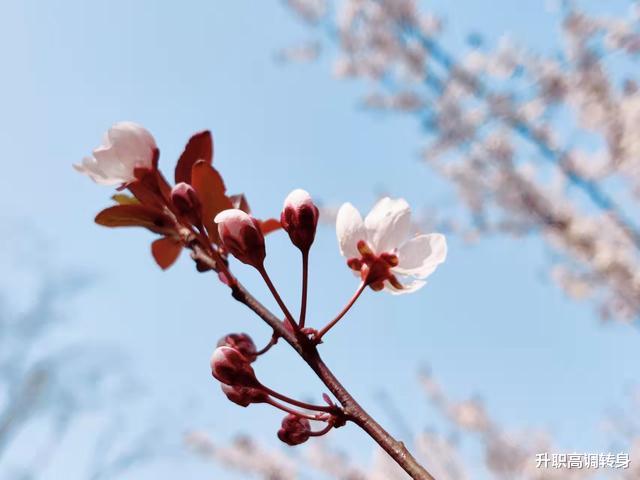 跳槽|在公司死磕10 年的人,后来都怎么样了?