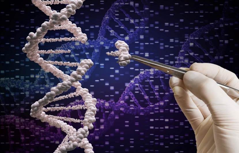 为何生物不进化为永生?科学家解释道:人类只是“基因的工具”