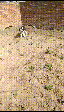 西游记|重看《西游记》,弹幕让我笑到怀疑人生