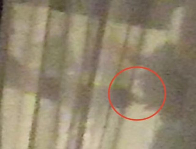 杨紫|杨紫刘学义高清视频曝光！两人彻底被打脸