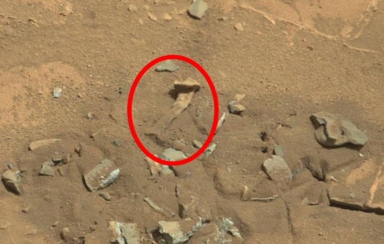 火星上出现神秘物体,外形极似“人骨”,是否能证明火星人存在?