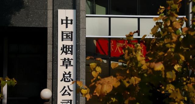 俞飞鸿|笑死,根本比不过!为啥就算没“暗箱”,三无毕业生也进不了烟草