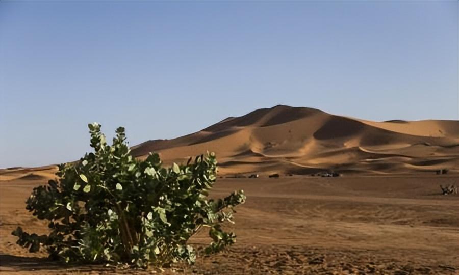 |中国第一个将消失的沙漠：面积比海南岛还大，如今入眼80%是绿色