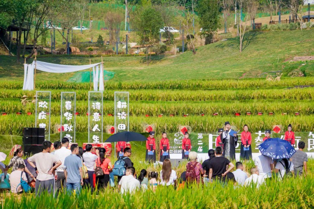 大理|你和“诗与远方”之间,只隔着一个田园牧歌的院子