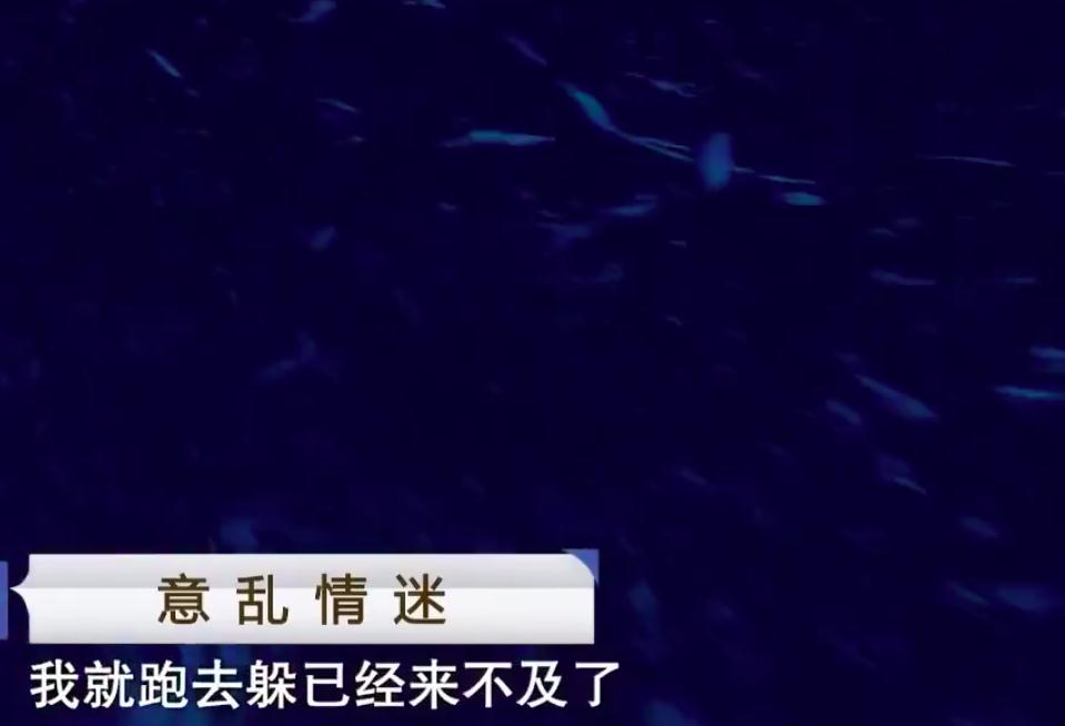 2015年丈夫因捉奸妻子被杀,妻:更爱情夫,他打我情夫,我就杀他